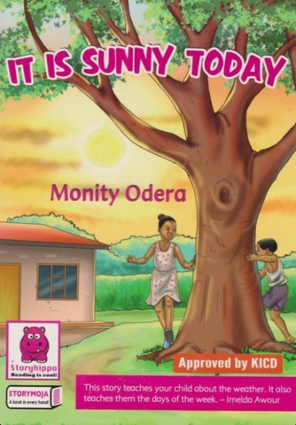 It is Sunny Today  Story Book